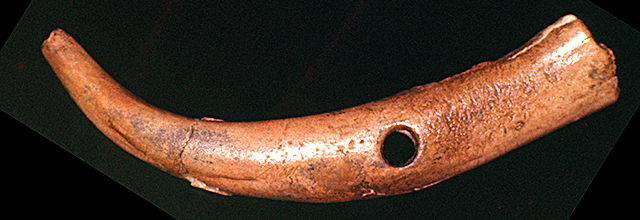 45KT28/4266 (o-266) - Ddigging stick handle from Cultural Component VII, Subcomponent undesignated from the fill just above the floor of House Pit 1 (VIIG). Ergo, Cayuse II or Cayuse III Subphase