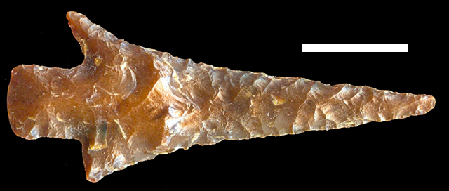 45KT28 - Projectile point found on the beach, cf Type 6D, possibly a Cayuse III Phase variant