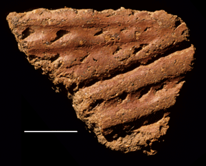 Palimpsest of impressions and grooves on sherd from Il Lokeridede.