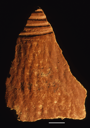 Vessel from Il Lokeridede with ripple body and grooved neck.