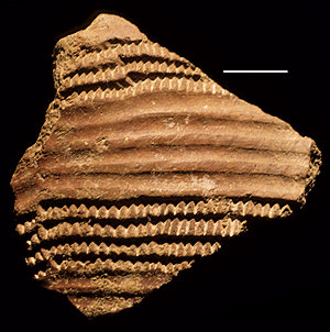 Grooved and imbricated sherd from Il Lokeridede.