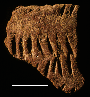 Sherd with cut grooves from Il Lokeridede.