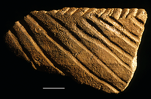 Vessel of grooved in bands from Il Lokeridede.