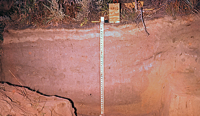 45KT28. Witness section at the western (inland) margin of House Pit 12; Component VII-I, Cayuse III Subphase.