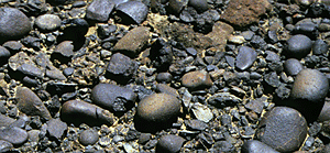 Gravel of the main platform.
